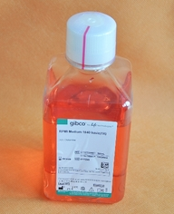RPMI 1640培养基 （含L谷氨酰胺）