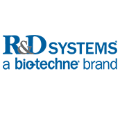 ����鿴��Ʒ:1709-ML-025 Recombinant Mouse IL-17B Protein(25ug)